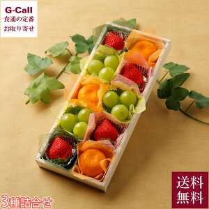 Xmas Fruits Coffret t[cRt 3 lߍ킹 J[ht 1220`22o ws   VC}XJbg ݂ t[c Mtg