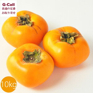 xʎ ʍ͔| ˂Ȃ` 10kg 10{11{o  YҒ JL  Ȃ` ʕ  H t[c VN ` 