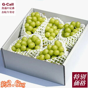 ʉi RY 嗱v~AVC}XJbg 4`5[ 2.6kg 8{10{o Inakakara ێR_   uhE Ԃǂ ʕ {