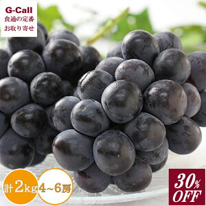 30%OFF RY 햳j[sI[l 2kg 4`6[ 9{܂ŏo  Ȃ Ԃǂ  ʕ t[c x Mtg Yn
