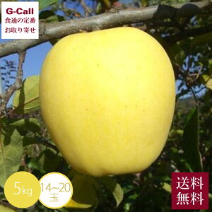 Y ͂邩 5kg 14`20 1210`1225o ws  t[c ʕ {  ь S fU[g Mtg Yn xt[Y