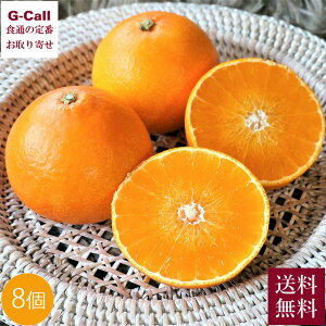 R x QY g܂ǂ 8 12{`12{o ws  k k ݂ ʕ t[c    Yn