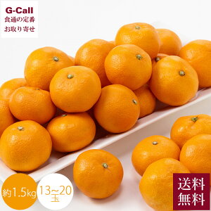 R x Lc݂ 1.5kg 13ʁ`20 11{12{o ws  k k ݂ ʕ t[c   Yn