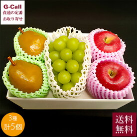 シャインマスカットと季節のフルーツ詰合せ 3種 計5個 11月下旬〜12月下旬頃発送 指定日不可 送料無料 ラ・フランス サンふじ くだもの 贈答