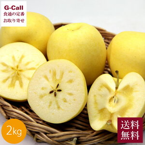  R`Y ͂邩 G 2kg 12{`12{o ws  t[c ʕ { Yn  ь S    