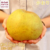 小野口果樹園 かおり 4〜7玉 約4.5kg〜5kg 9月上旬から出荷 北海道・四国/九州・沖縄送料別 指定日不可 …