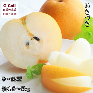 ʎ Ȗ،Y Â 5`12 4.5kg`5kg 9{牺{o kCEl/BEꑗ  Ȃ ʕ t[c  Yn
