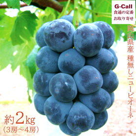 古那志屋 小林農園 岡山県産 種なしニューピオーネ 約2kg 3〜4房 9月上旬から9月中旬出荷 指定日不可 北海道・沖縄送料別 種なし ぶどう 果物 フルーツ ギフト