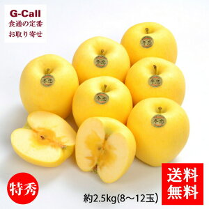 Y 񂲂͂邩 v~A~ G  2.5kg 8`12 12{`{o  x16xȏ Mtg ь S ʕ  x 