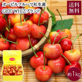 ワシントン州産 レイニアチェリー 約1kg 送料無料 7月上旬から7月中旬出荷 イエローボックス又は黒化粧箱 果物 アメリカ オービルフルーツ UVIL FRUIT GEE WHIZ
