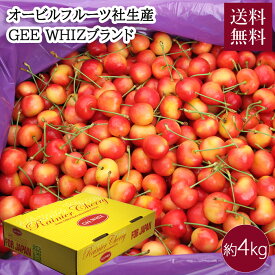 ワシントン州産 レイニアチェリー お徳用 約4kg 果物 アメリカ 送料無料 7月上旬から7月中旬出荷 チェリー さくらんぼ オービルフルーツ オービル農園 GEE WHIZ