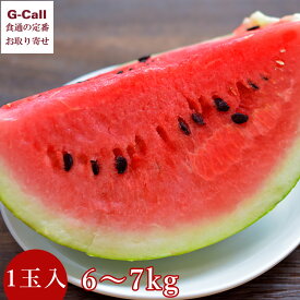 富里スイカ Lサイズ 1玉 6~7kg 北海道・四国/九州・沖縄送料別 6月上旬から7月上旬出荷 JA富里市 果物 ギフト 贈答 お取り寄せ 千葉県 フルーツ すいか 西瓜