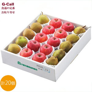 WFCGCĂǂt[Y EtXƃTӂl 5kg e10 11{12{o BEꑗ ʕ m  S ь R`