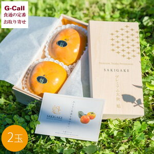 熊本産 小森ファーム プレミアム太秋柿 魁 さきがけ 完全甘柿 特撰 2玉 木箱 1玉400g 10月下旬〜11月中旬出荷 指定日不可 柿 甘柿 果物 フルーツ 高糖度 ギフト