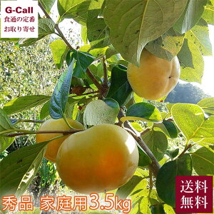 F{Y v~AH` @  SÊ` Gi ƒp 3.5kg 10{11{͂ ws  ܂ Xt@[` JL Ê`