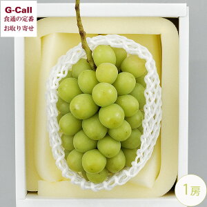 RY ①VC}XJbg 700g 1[ ܂ȉR Rʕ̔ 11{`12{o ws kCEꑗ ʕ uhE  Mtg