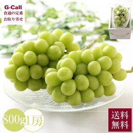 晴王 岡山県産 800g 1房 送料無料 果物 フルーツ シャインマスカット 葡萄 ぶどう 高品質 最上級商品 生産者から直送 大粒 旬 秋の味覚 高糖度 贈答 お取り寄せ