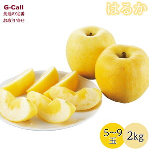 JAĂǂt[Y R`Y ͂邩 p x15x  2kg 12{`12{o ws BEꑗ  ь S ʕ Yn