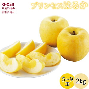 JAĂǂt[Y R`Y ͂邩 vZX͂邩 x16x  2kg 12{`12{o ws BEꑗ  ь ʕ Yn