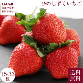 熊本県産 ひのしずくいちご 15-33粒 約900g 1箱 1月中旬〜出荷 指定日不可 大阪市中央市場 万果 送料無料 イチゴ 苺 果物 くだもの フルーツ 贈答 ギフト 大粒