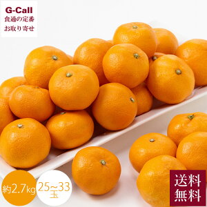 R x Lc݂ 2.7kg 25ʁ`33 11{12{o ws  k k ݂ ʕ t[c   Yn