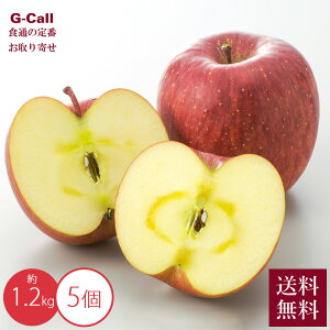 R x XY Tӂ 5 1.2kg 12{12{o ws  ь S  t[c X   Yn