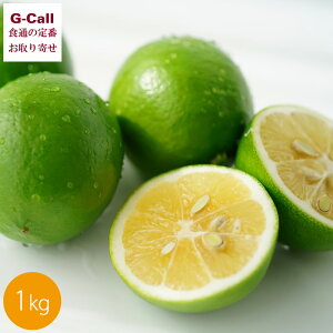 WH _ WHY }C[ 1kg 10{2{o ws kCEꑗ Y k ʕ x Yn 