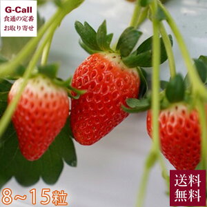 Inakakara Farm to Table RY Ec̊n 8`15 11{3 ws    C`S ̂  Yn