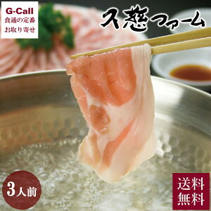 vt@[  Ԃ Zbg 3lO ||t    ؓ  Ԃ  Mtg  v[g [J[