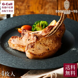 CxR CxR؍tXe[Lƃgt Xe[L 100g x 4  Xe[L 400g CxR ؓ uh