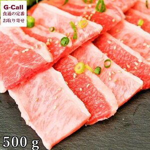 炭퐸X 䋍A-5 Jr ~ Ԑg 500g kCEl/BEꑗ  јa ē Ă YҒ A5N {錧Y  