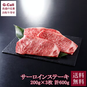 gVX gV јaT[CXe[L 200g 3 v600g  a Xe[L Y T[C  Ⓚ    ȒP YҒ 