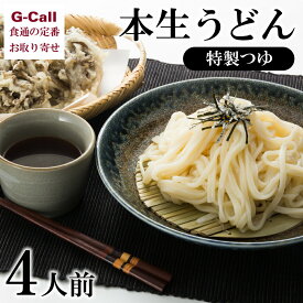 大澤屋 本生うどん 特製つゆ 4人前 北海道/四国/九州・沖縄送料別 水沢うどん ざるうどん もちもち 絶品 本場の味 コシ のどごし 簡単調理 打ちたて 贈答 ギフト