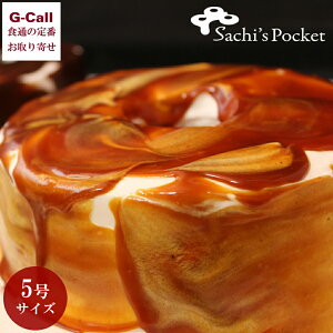 mfs Pocket LVtHP[L STCY 5 a14cm kCEꑗ T`Y|Pbg mَq XC[c j Mtg VtH P[L