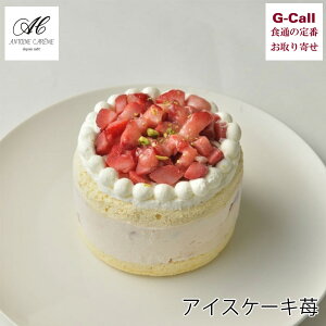 Ag[kEJ[ ACXP[L  kC/l/BEꑗ Mtg  ڍ   V[gP[L ACXN[ [J[