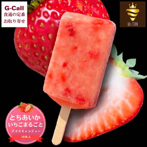 t[cp[[ Mib-TOWN 䕊ۂƃACXLfB[ 10{ kCEBEꑗ ~bu^E  Ƃ ACX XC[c َq [J[