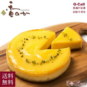 ykCEꔭsẑ ܂Ȃ݃̃`[YP[L 5 15cm  ① `[YP[L P[L  EG P[L Mtg mَq 