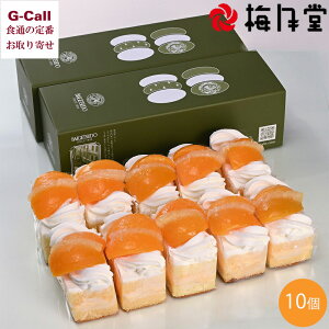  ~ V[XN[ 10 kCEꑗ P[L ΂ǂ mَq t[c  pCibv  Mtg  ǌ YҒ