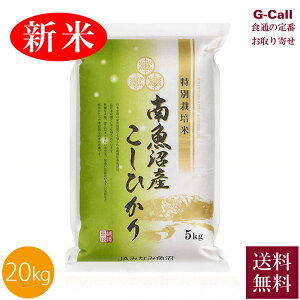 JA݂Ȃ݋ ߘa7NY V _8Ew엿sgp 싛YRVqJ20kg 5kg×4 9{珇o  Ђ  ͂  싛