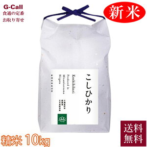 ܂ǂ ݂_ ߘa7NY 싛YRVqJ 10kg 5kg×2 9{珇o ws    SC V Yn 