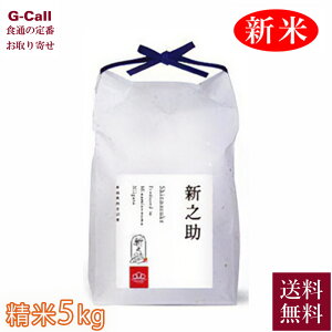 ܂ǂ ݂_ ߘa7NY 싛Y VV 5kg 10{珇o ws    V Yn  ͂ Vi uh