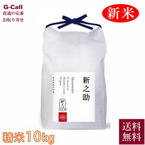 ܂ǂ ݂_ ߘa7NY 싛Y VV 10kg 5kg×2 10{珇o ws    V Yn  uh