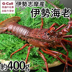 R ɐuY ɐCV 400g 1 kCEl/BEꑗ ɐ CZGr CV Y i  NNn  Yn 