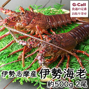 伊勢海老 500gの人気商品 通販 価格比較 価格 Com