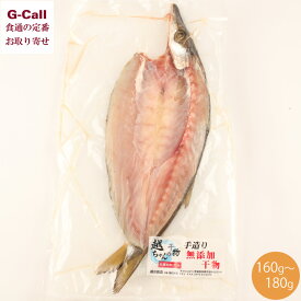 【指定日不可】越田商店 越ちゃんの干物 カマスの開き 1枚 約160g〜180g 干物 魚介類 産地直送 絶品 白身魚 茨城県 冷凍 お取り寄せ ご飯のお供