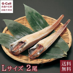 LYƗʐU L{N p̈銱 LTCY 2  Yn L g ^Ⓚ    RN ΂ W[V[ 