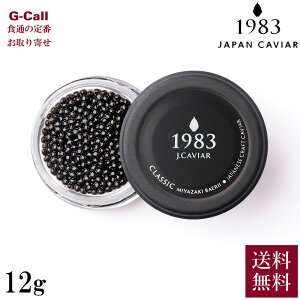 WpLrA {LrA 1983 oG NVbN 12g 1 a3.3mm  LrA 嗱  V[t[h   