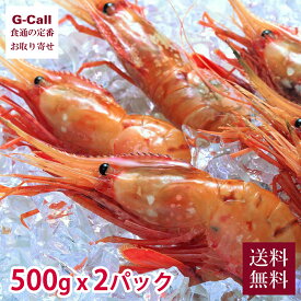 網走水産 特大お刺身ぼたんえび 500g×2パック L～2L 送料無料 北海道 徳用 ぼたん海老 牡丹海老 ボタンエビ 海老 えび お刺身 化粧箱 お取り寄せ 産地直送