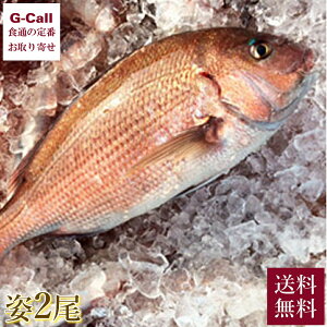 �y�w����K�{�z�e���r�ŏЉ�I �}�����W���p�� ���I�^�� �p 2�� �������� �}�_�C �� �^�C ���� ���傤�� ���I ���� �C�N ���f�B�A�Řb��