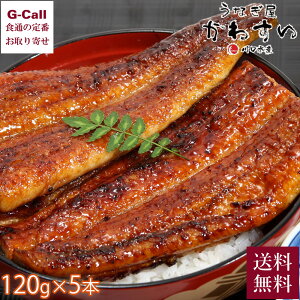Ȃ킷 YȂ TCY 120g 5{  V Ȃ EiM ΏĂ  Ă Ђ܂Ԃ Y 
